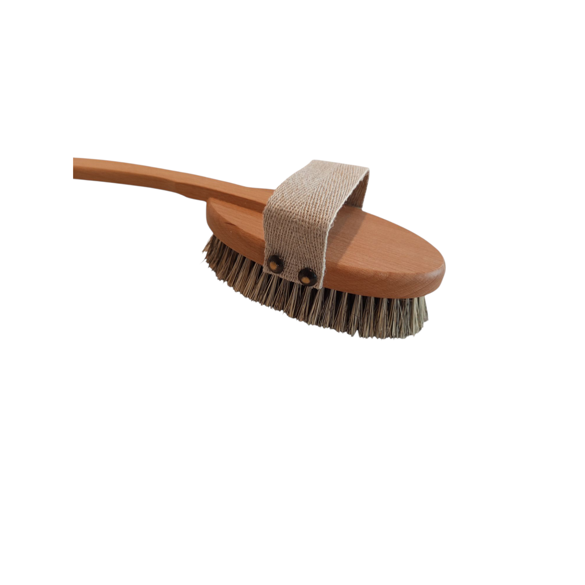 Badebürste Buche