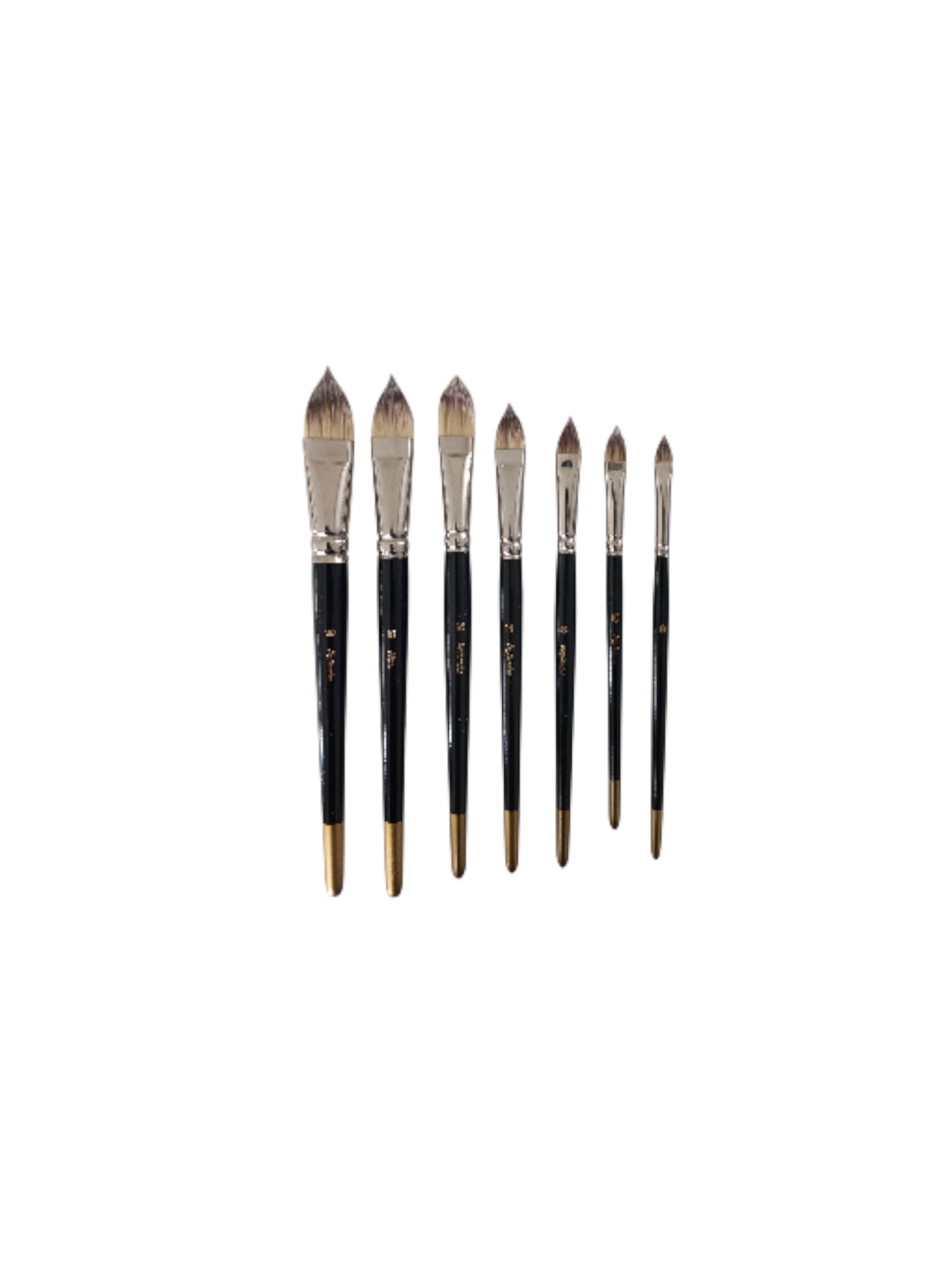 Katzenzungenpinsel Torayhaar