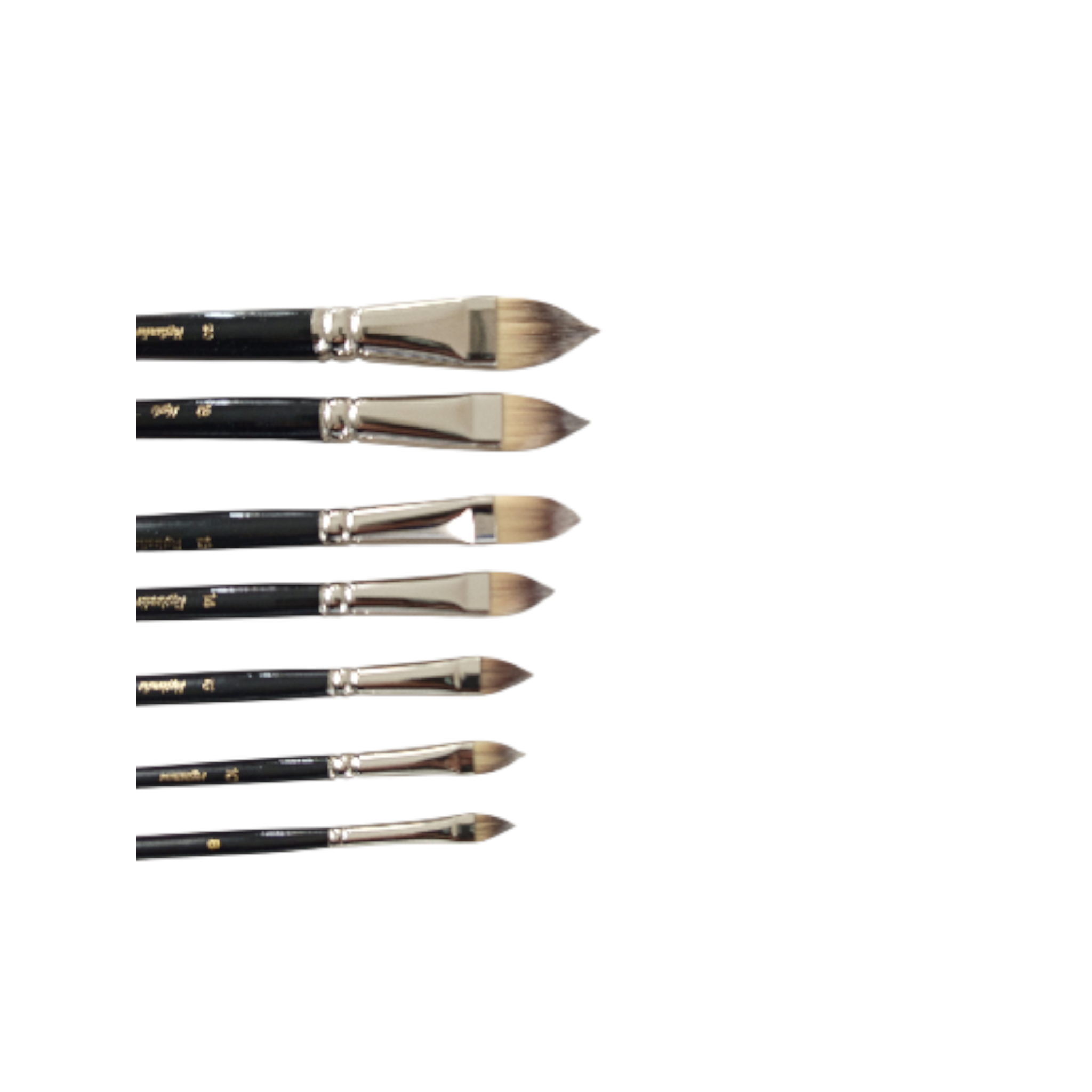 Katzenzungenpinsel Torayhaar