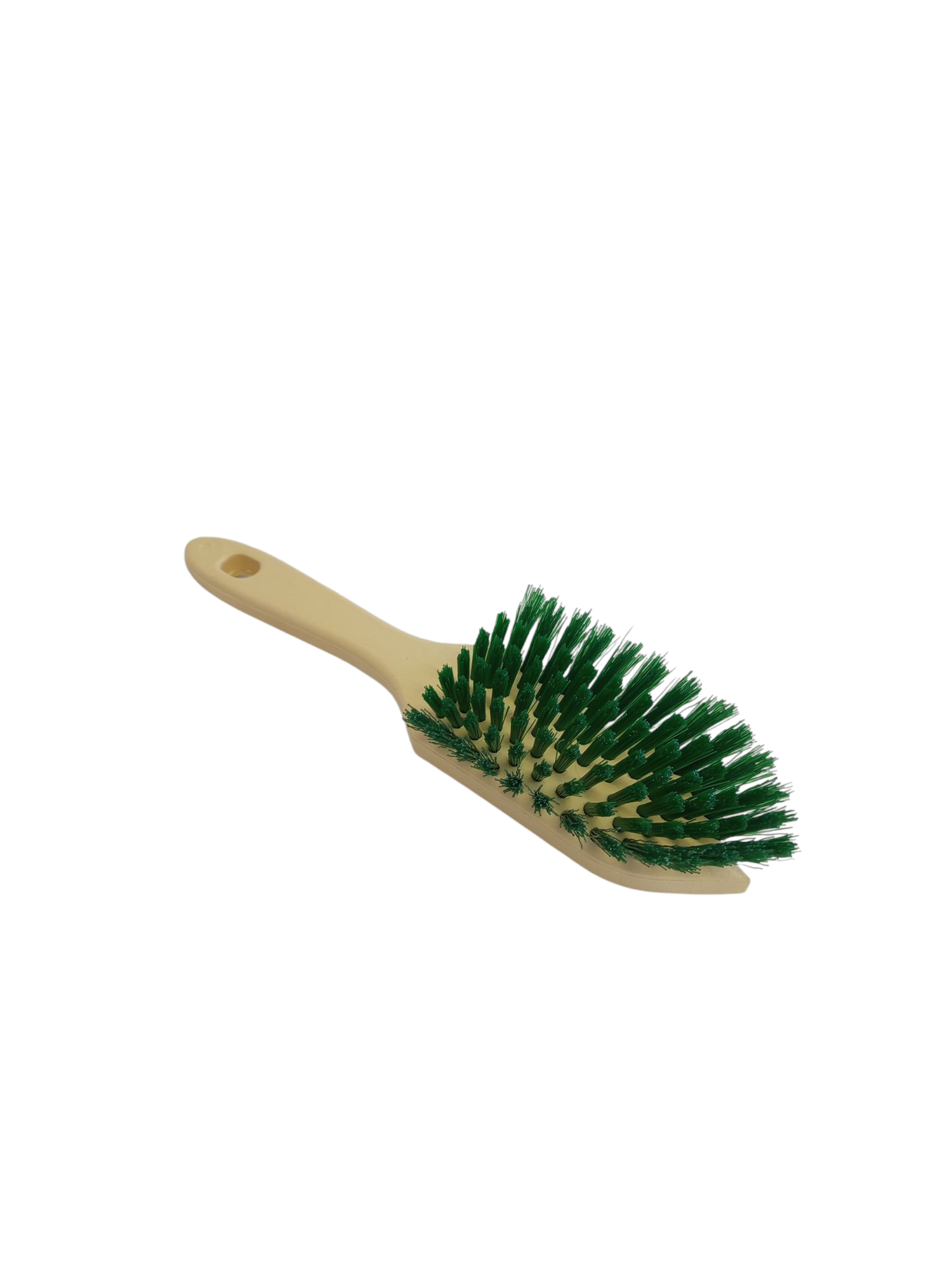 Putz und Waschbürste